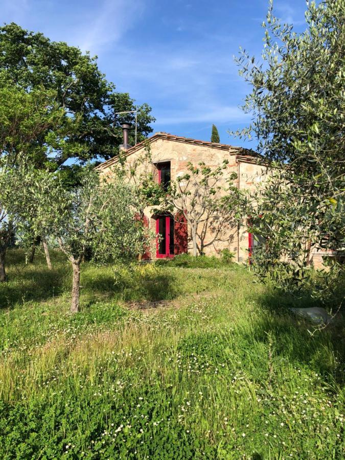 Il Capanno Villa Asciano Luaran gambar